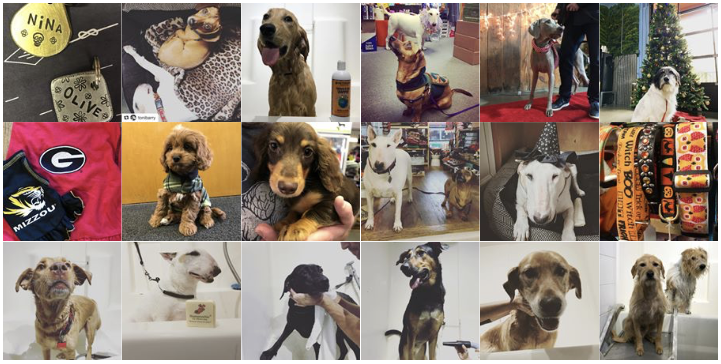 Highland Pet Supply
